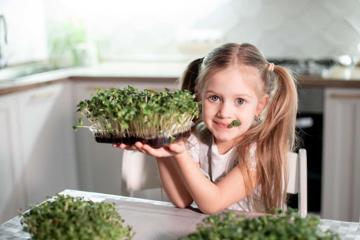 Are Microgreens Safe to Eat?